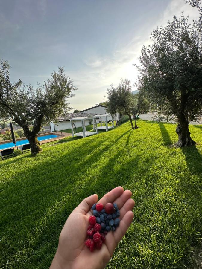 Agriturismo Maison 1933 Caprino Veronese Exteriör bild